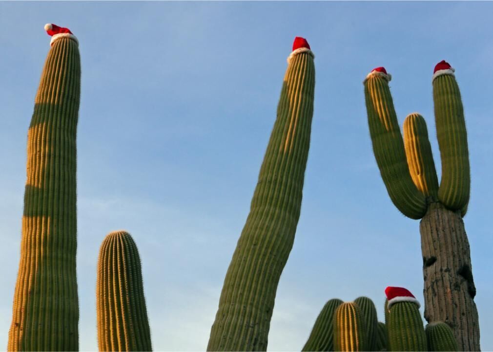Santa Claus, Arizona